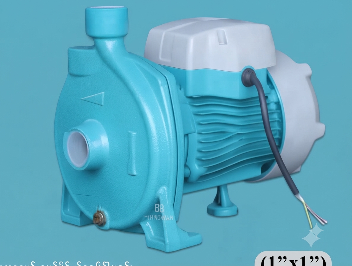 1Hp LiLiခေါင်းပြားပန့်